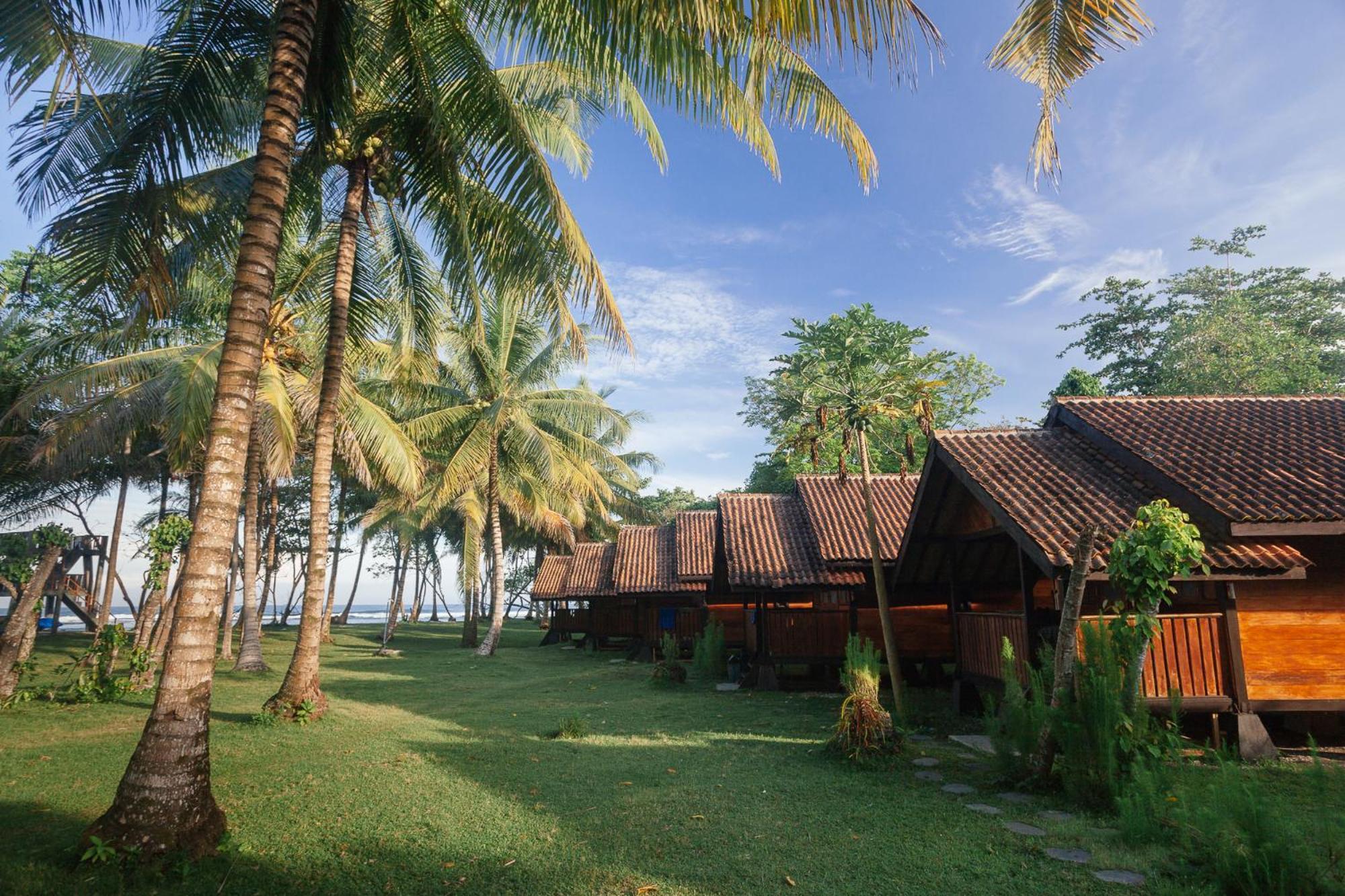 Sumatra Surf Resort Biha Zewnętrze zdjęcie