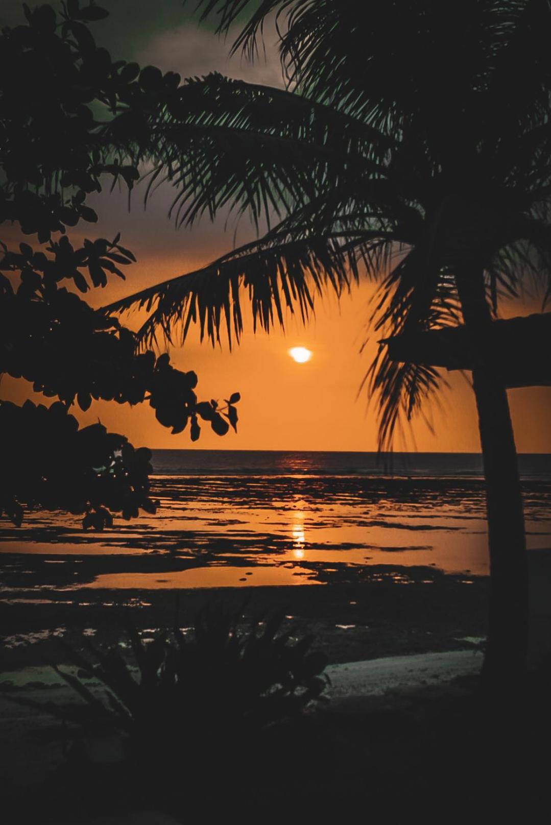 Sumatra Surf Resort Biha Zewnętrze zdjęcie
